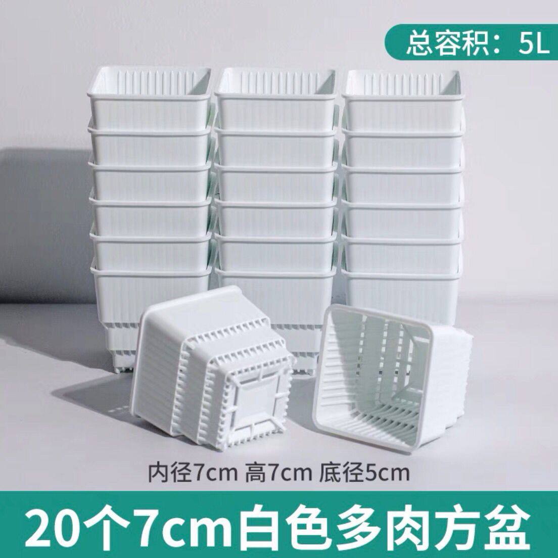 塑料根盆方形加厚控仙人球多肉景天生石花肉锥播种育苗盆