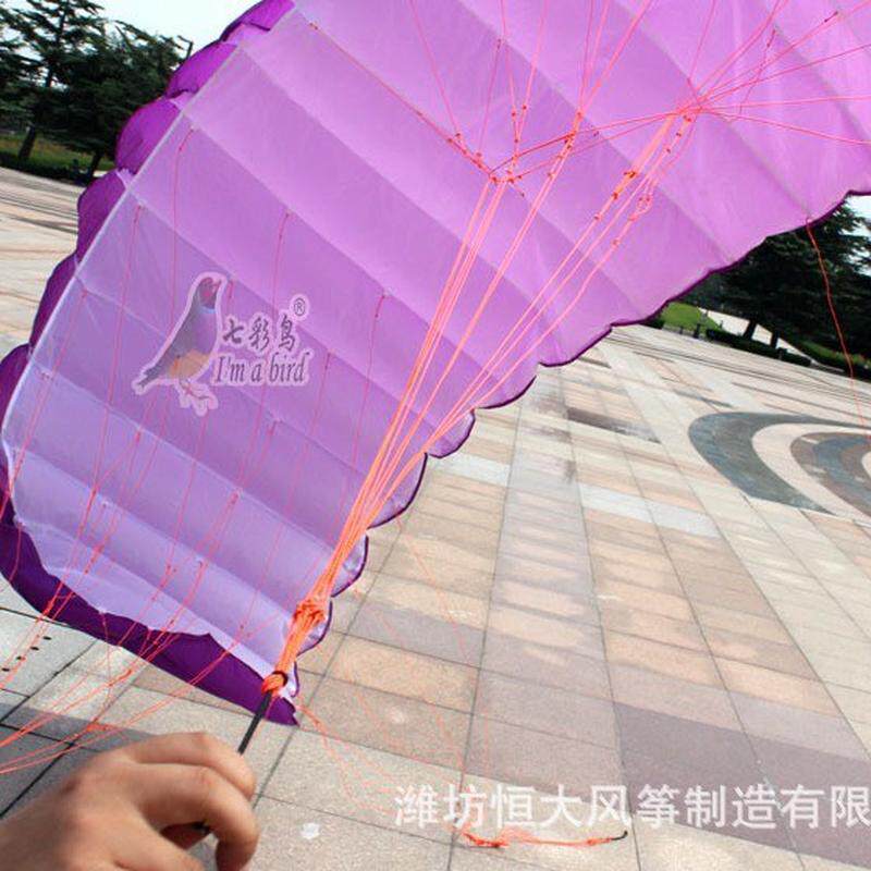 潍坊风筝4线动力软体风筝软体特技四线特技
