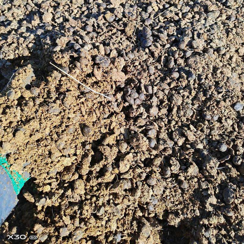 种菜羊粪发酵有机肥料纯养花果树营养土大包装批发腐熟农家肥厂家