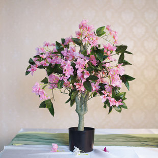 花逸仿真盆景梅树九重葛装饰勒杜鹃三角热销三角梅装饰定制