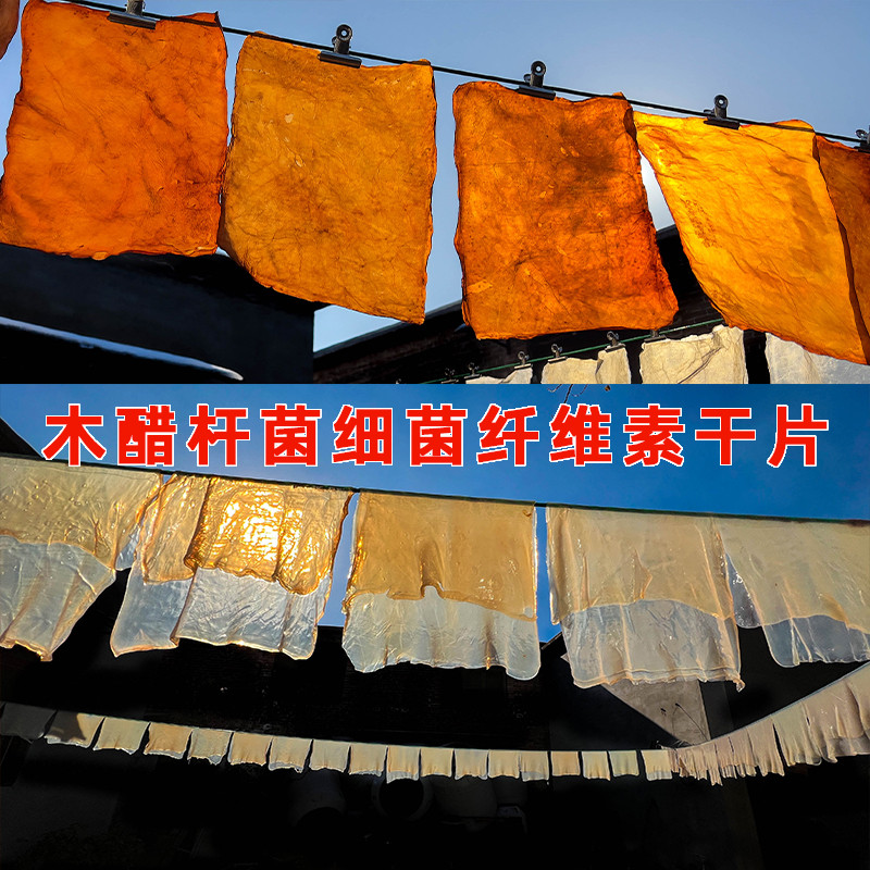木醋杆菌细菌纤维素干片抗阻燃红茶菌生物基材环保材料