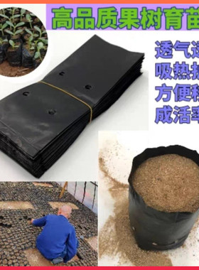 黑色育苗袋加厚营养袋百香果塑料营养袋槟榔育苗袋果树育苗塑料袋