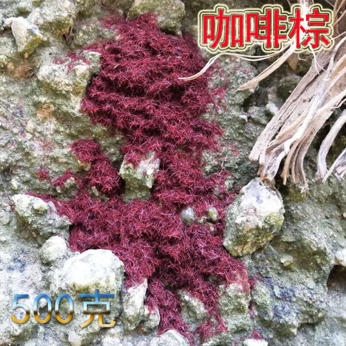 鱼缸沉木造景苔藓仿真假山装饰绿植人造草场景景观微景观模型假草