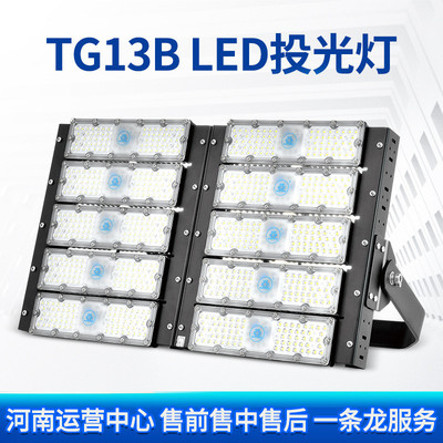 上海世纪亚明tg13bled投光灯照明灯道路大功率180w240w300w