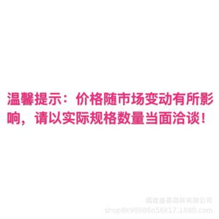 江苏榔榆古桩供应基地榆树桩头批发造型榆树桩榆树盆景价格