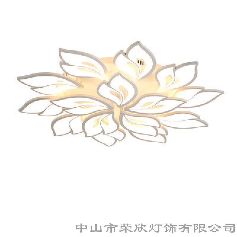 新款现代简约灯具套餐创意大气家用卧室灯2020年北欧客厅灯吸顶灯