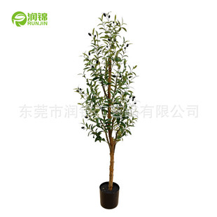 仿真橄榄树酒店盆栽家居装饰树北欧简约风旅人蕉造景
