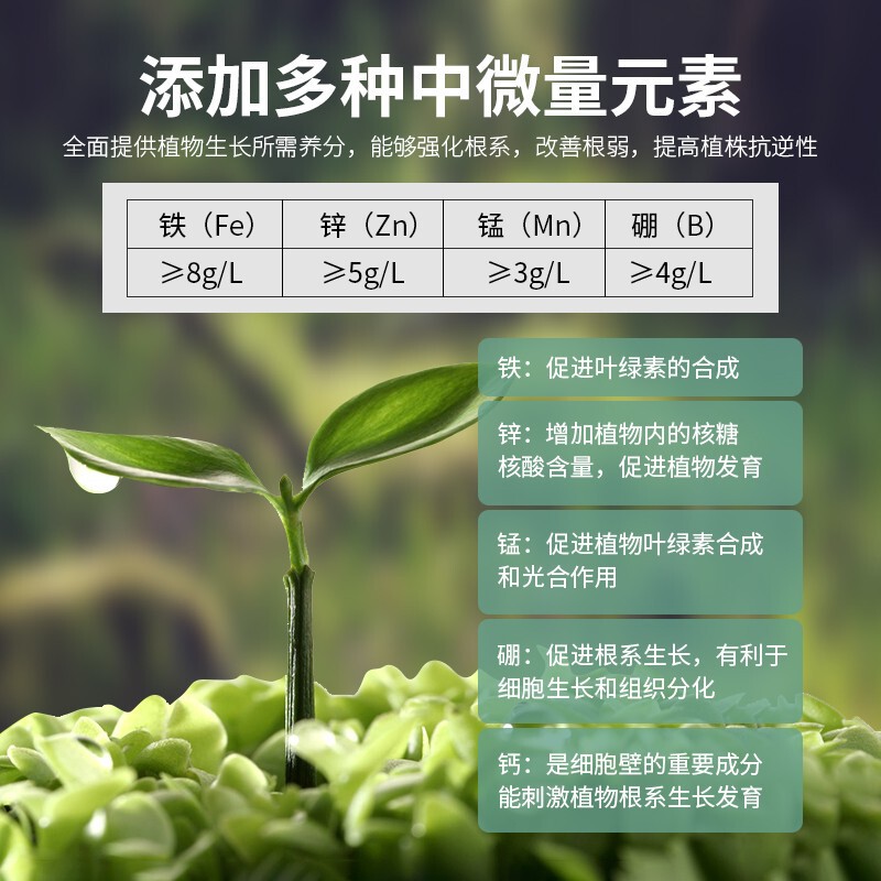 生根液移栽花苗扦插移植剂花卉植物营养液强力生根剂壮苗发根多肉