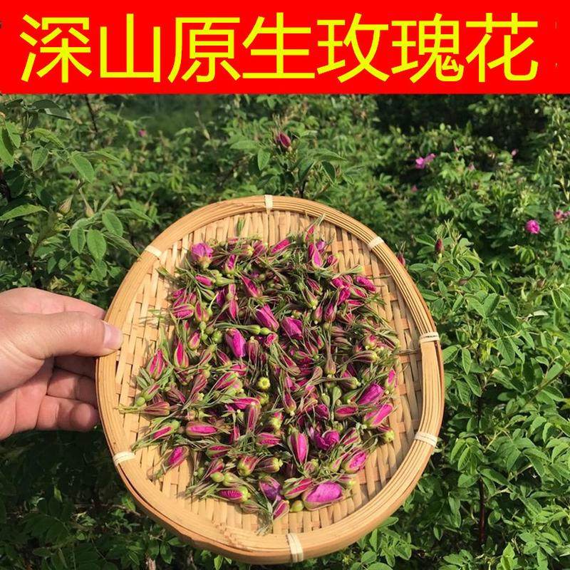 【非种植】神农架深山玫瑰花茶茶包干货刺玫瑰果小朵玫瑰散装100g