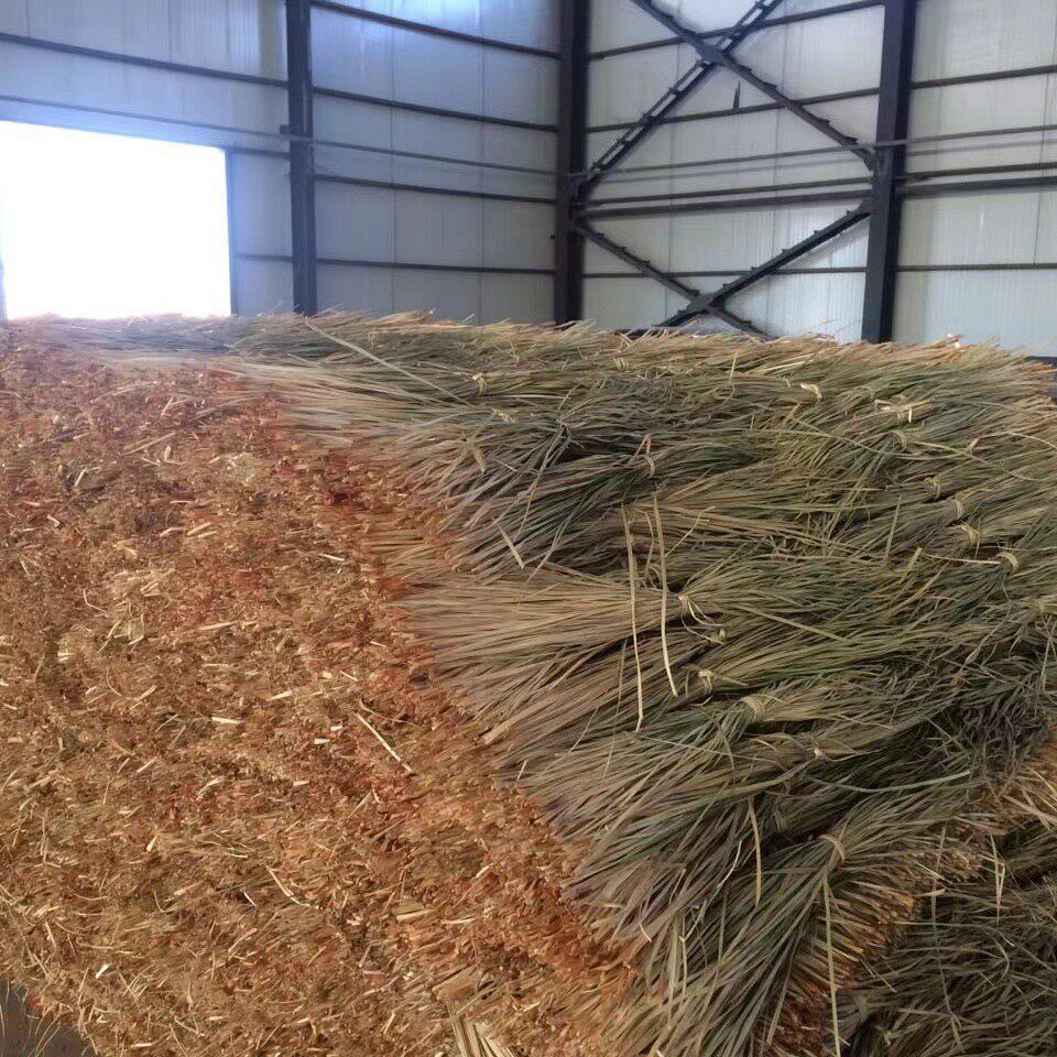 热销绳绳精选端午节包粽子用粽叶草绳马莲草捆绑用厂家批发粽子绳,鲜花速递/花卉仿真/绿植园艺,造型盆景,淘宝优惠券,粉丝福利购,淘宝优惠卷