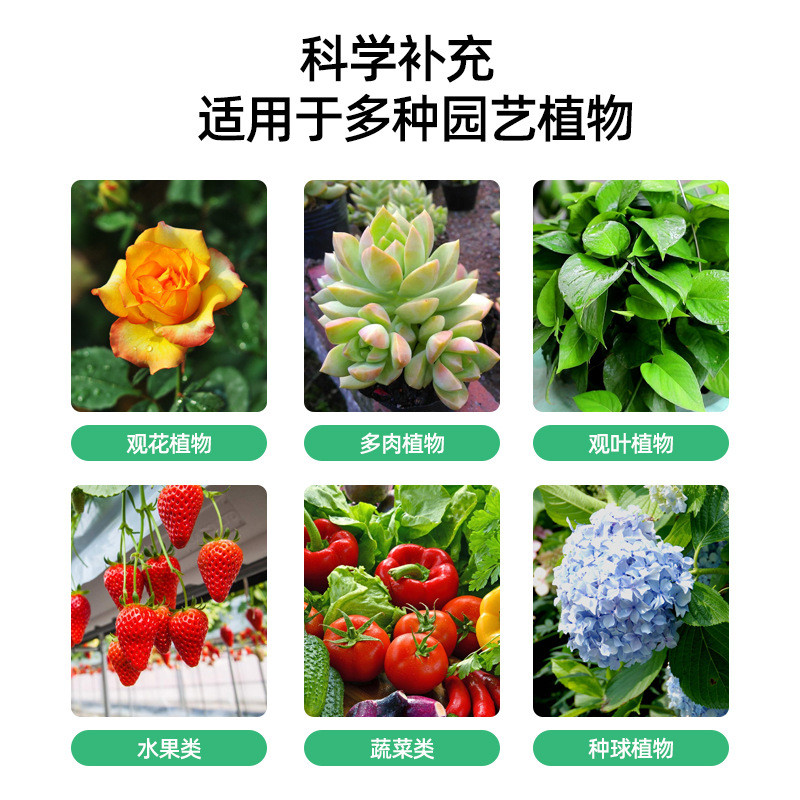 肥料厂家聚谷氨酸颗粒保水保肥生根农业有机肥抗逆级聚谷氨酸