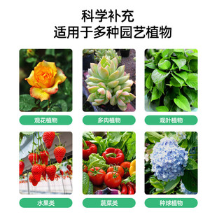 抗逆厂家聚谷氨酸颗粒保水保肥生根肥料有机肥农业级聚谷氨酸
