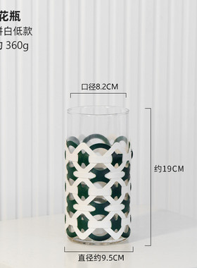 视远直筒玻璃花瓶高级感轻奢手工编织创意皮革装饰ins风客厅摆件