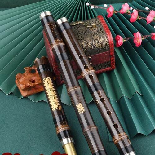 专业演奏洞箫笛乐器大人玉初学入门紫竹萧六八孔调古风长潇
