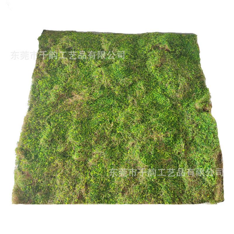 仿真干枯丝草皮苔藓假微景观装饰室内植物背景墙仿真植毛草坪