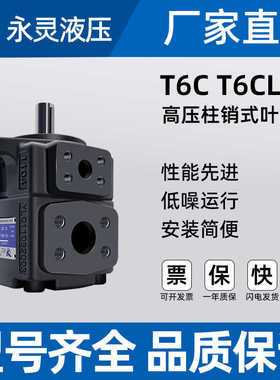 YLC永灵叶片泵T6C-008/012/014/017/020/025/028-1R00油泵 A1 C1