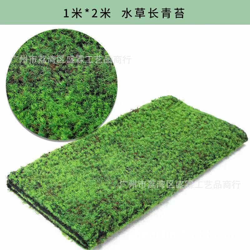 垫子植物墙花艺插花配材草坪草皮装饰绿色地毯人造草坪工程围挡