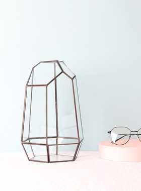 9zrt批发简约六面切割几何玻璃花房植物微景观花盆生态瓶送仿真多