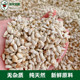 枭龙鸽粮斤花籽赛鸽信鸽鸽子食40红浙江沪皖 包邮