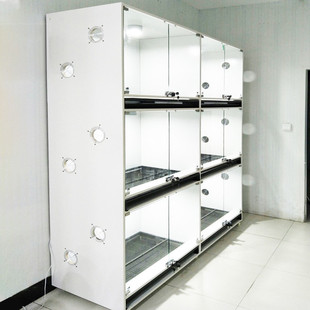 狗笼子实木展示柜寄养柜带托盘厕所狗别墅小型犬笼狗屋舍猫别墅柜