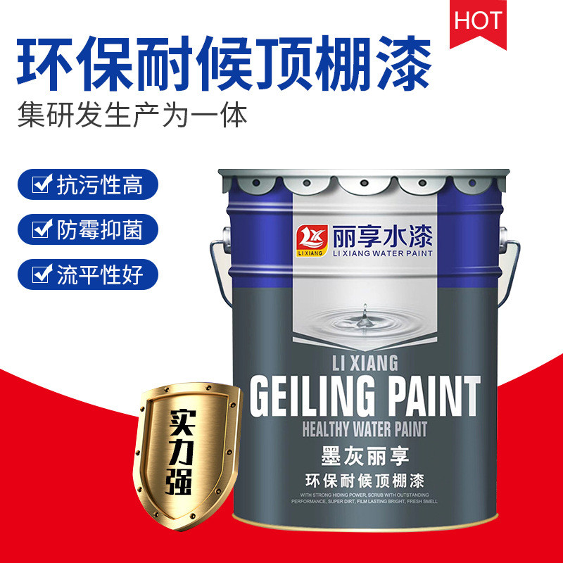 墨灰丽享环保耐候顶棚漆墙面顶棚漆家装室内喷顶水漆顶棚漆