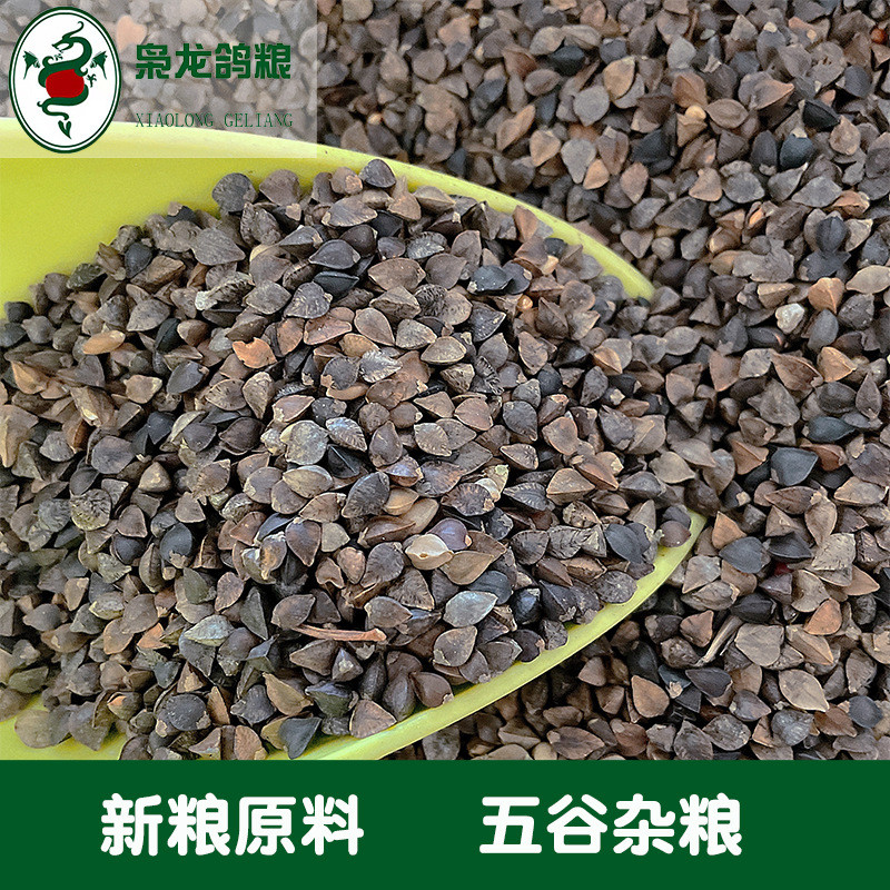 枭龙鸽粮荞麦50斤赛鸽信鸽营养原料包邮沪皖浙江