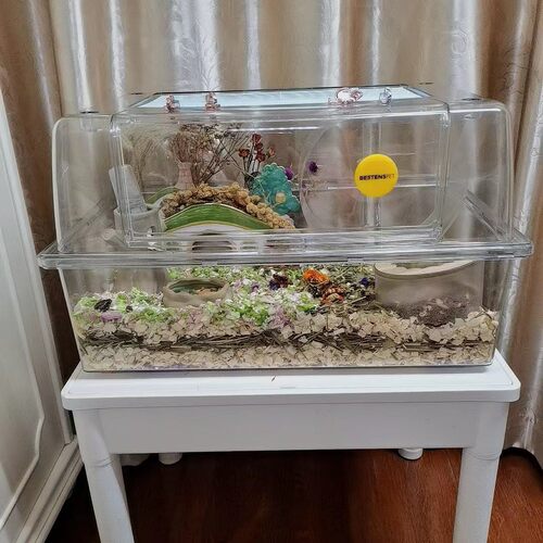 热销仓鼠笼笼子宠物62cm透明笼百搭经典款透明笼子观赏笼厂家爆品