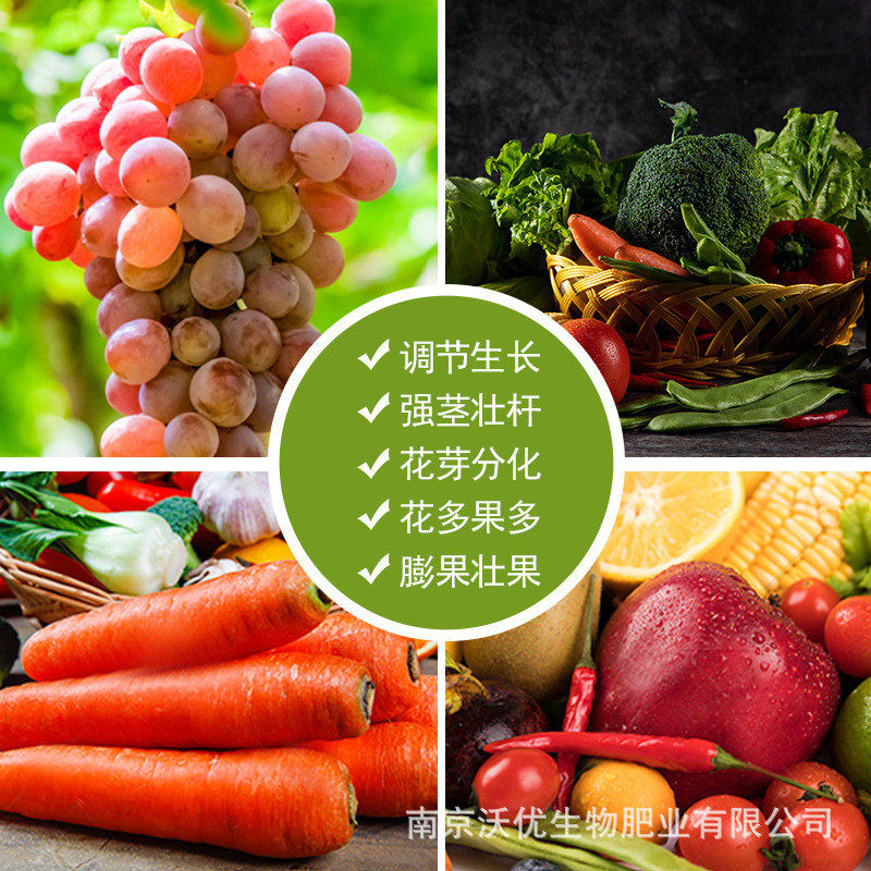 成吨有机肥料蔬菜果树鸡粪肥花卉专用纯鸡粪种菜用鸡粪发酵有机肥