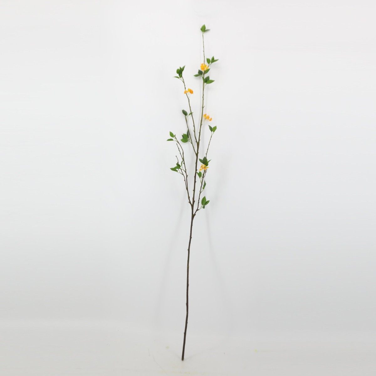 仿真花批发端木装饰花枝条小叶片摄影道具室内花艺客厅落地米兰,鲜花速递/花卉仿真/绿植园艺,仿真绿植,淘宝优惠券,粉丝福利购,淘宝优惠卷