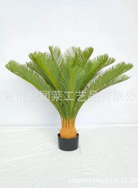 真装饰树植物盆栽假铁树厂家批发绿植苏铁仿生工艺苏铁树