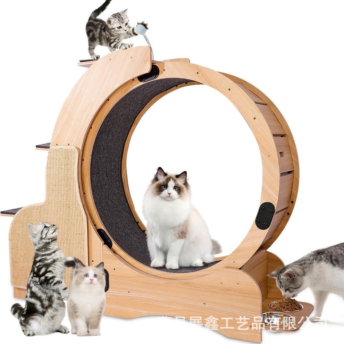 木质网红创意猫咪跑步机猫窝二合一宠物用品猫爬架静音滚筒跑道