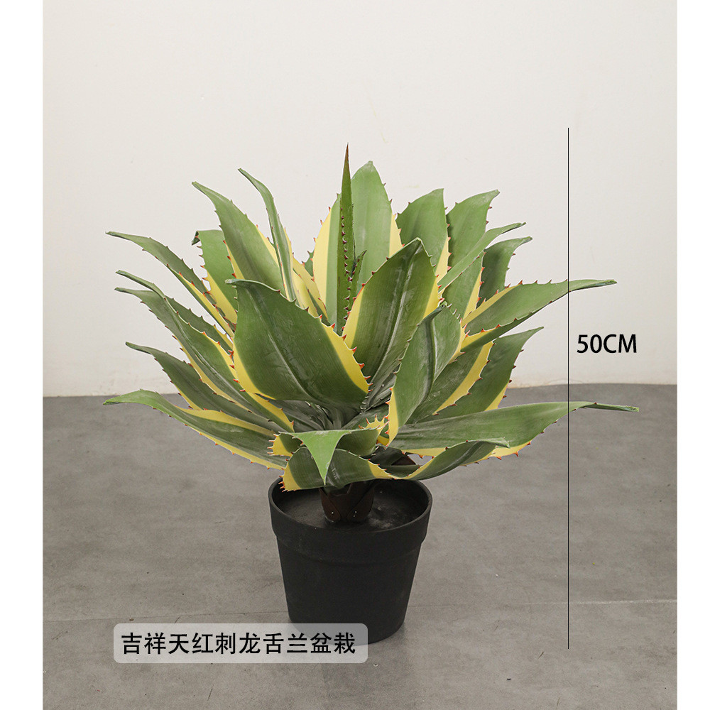 手感兰材料金边龙舌兰白边黄冠软胶仿真植物造景绿植剑麻剑兰盆