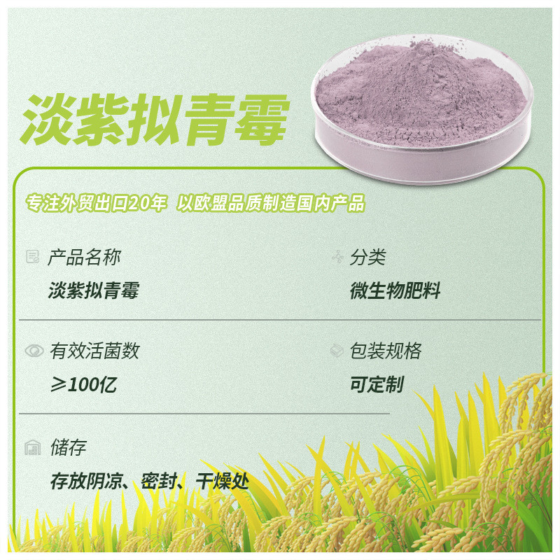 现货批发淡紫拟青霉抗抗根线虫菌根线虫抗重插抗根腐抗病害全水溶