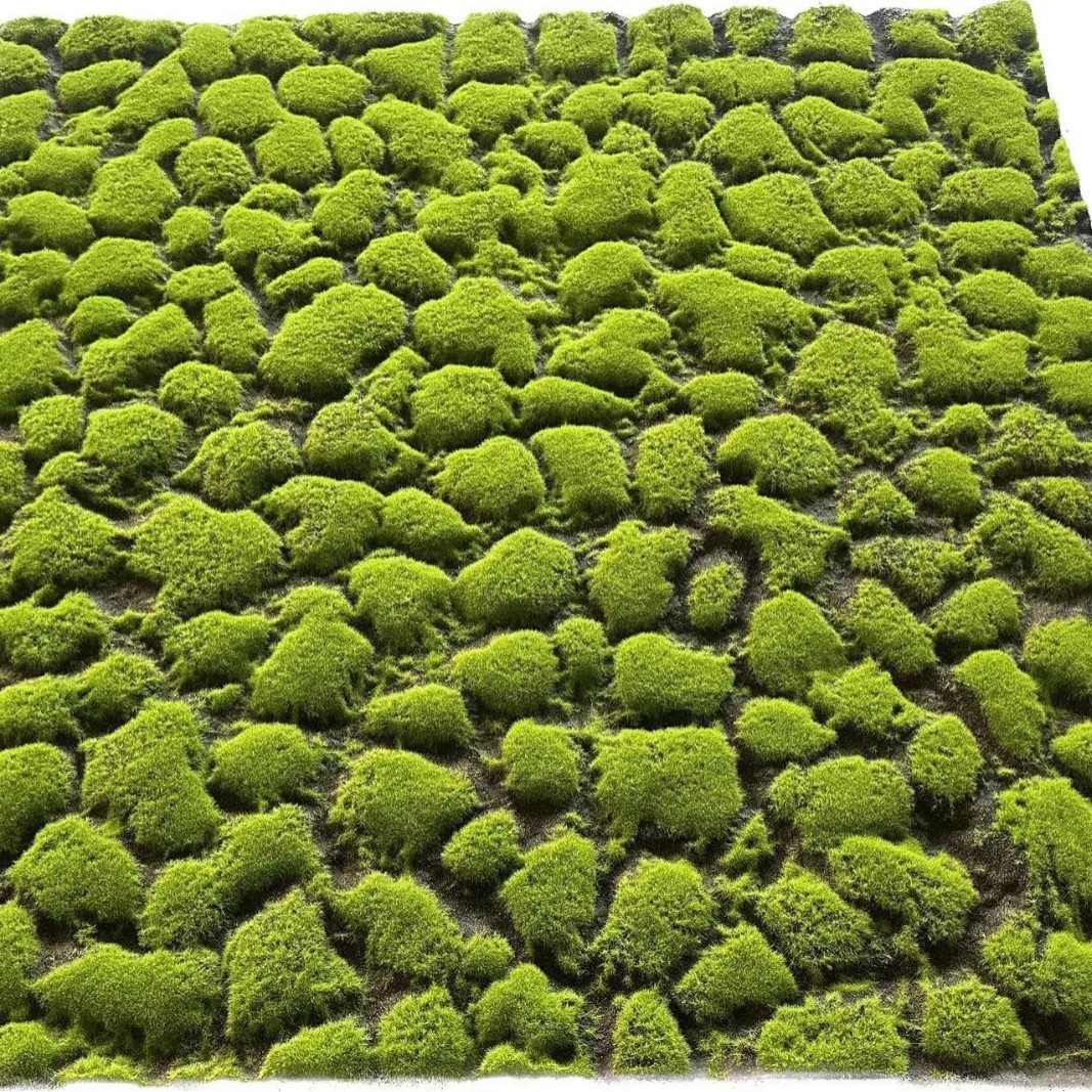 仿真苔藓绿植青苔草坪仿真草皮背景墙橱窗盆景绿色装饰人造假青苔