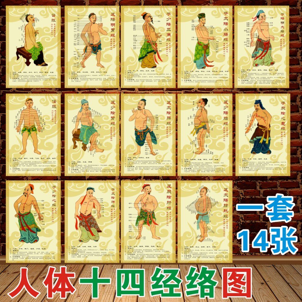 中医人体十四经络穴位示意经络人体经穴14条经脉十二经络走向图