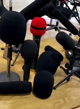 靓韵 特斯拉专用话筒套麦克风套加厚防喷海绵套TeslaMic话筒套