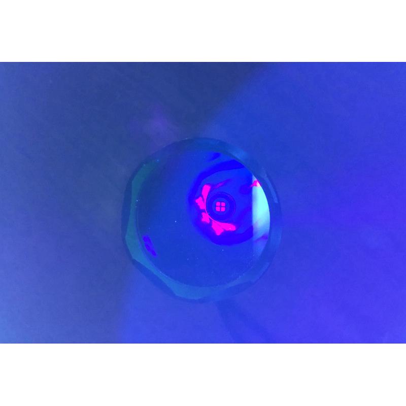 热销20w伍德氏灯猫藓灯365nm紫光灯20w黑色镜片手电筒伍德灯