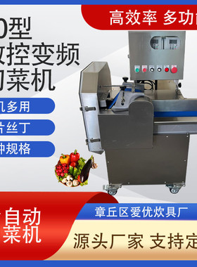 厂家供应大型806多功能切菜机切菜机蔬菜切丝切片切段商用变频