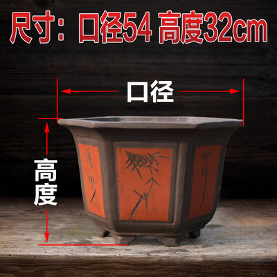 花盆茶花特大号超大口径30以上的紫砂桂花树大号长寿花金钱树专用