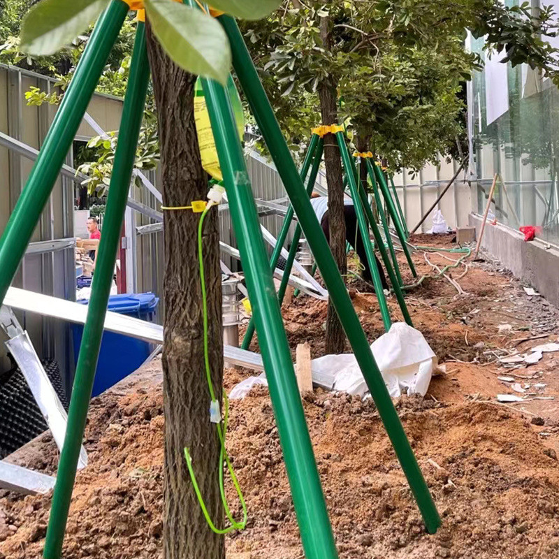 镀锌管树木固定器防风支架绑带式树木支撑支撑杆园林绿化苗木支架