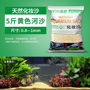 沙珊瑚底砂白色草沙砂沙底化妆沙菲律宾沙雨林砂珊瑚贝壳鱼缸造景