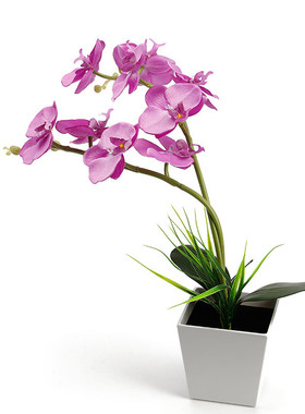 9led蝴蝶兰花灯紫色led兰花灯装饰台灯客厅盆栽卖场景观柜台花灯