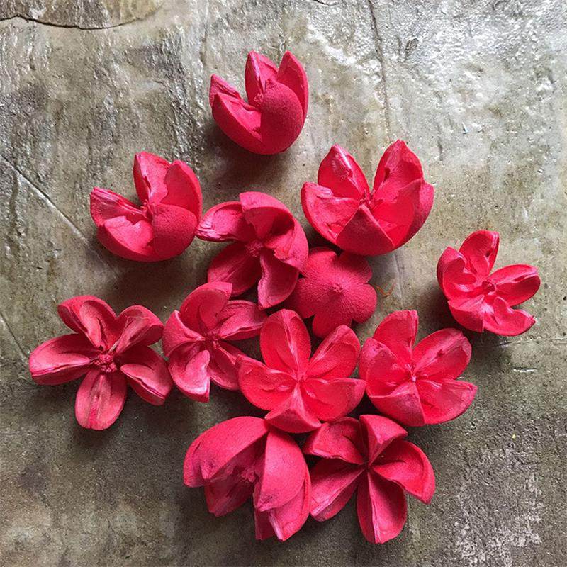 十字果开口笑干花材料批发 手工diy干花工艺品开心果彩色原材料