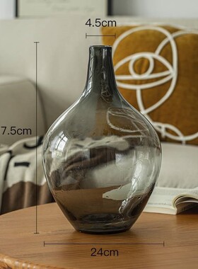 插花玻璃花瓶摆件大号绿植客厅感大肚轻奢水养透明简约落地