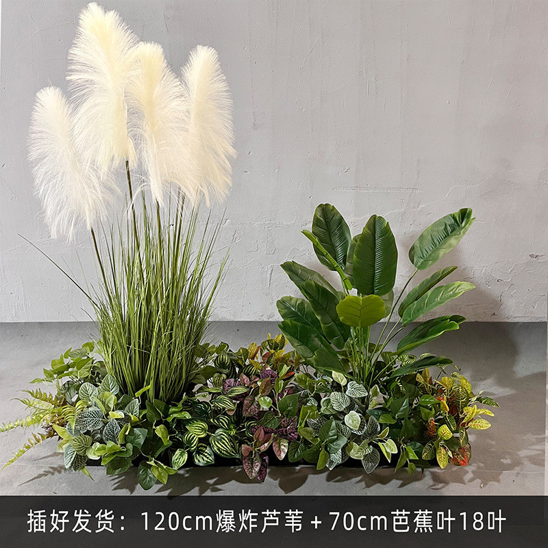 造景花箱仿真植物蕨类把束植物手感假花室内小型景观商场造景装饰