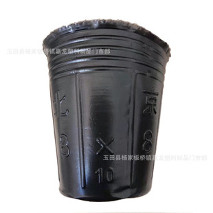 批发加厚营养钵长方形营养钵不易变形柑橘营养杯塑料营养杯