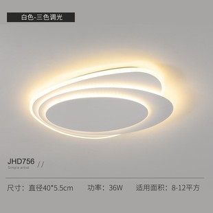 客厅主灯椭圆形极简艺术大厅顶灯设计感灯具现代简约中山吸顶灯
