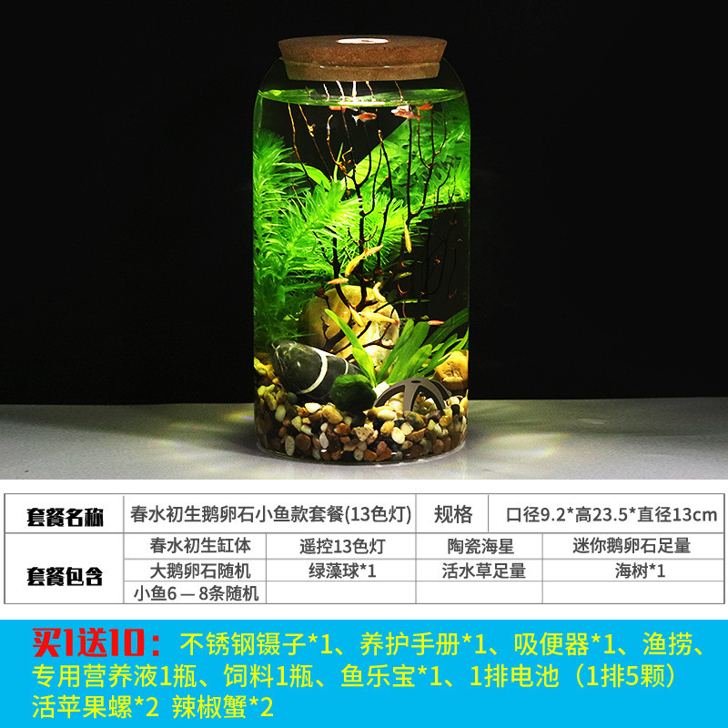 免换水生态瓶鱼高脚杯打理微景观科学用diy作业办公桌面造景鱼缸