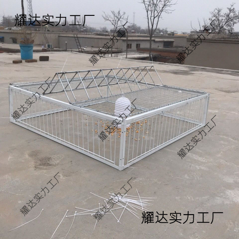 捕鸽鸽子野抓鸽子笼撞门补楼顶户外天落笼只进不出收自动