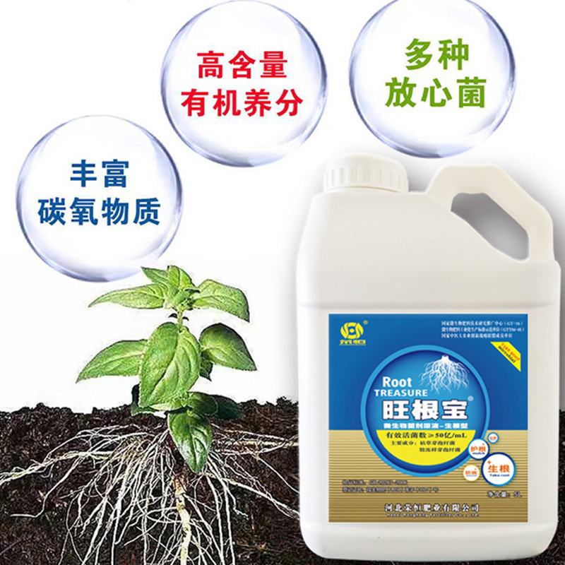 河北旺根宝菌肥菌剂原液水剂冲施肥生根壮根提质增产微生物微生物